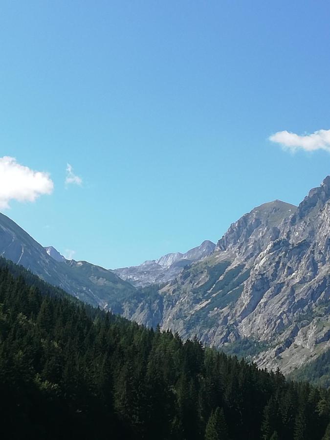 Fruehstueckspension Seeberghof Seewiesen Luaran gambar