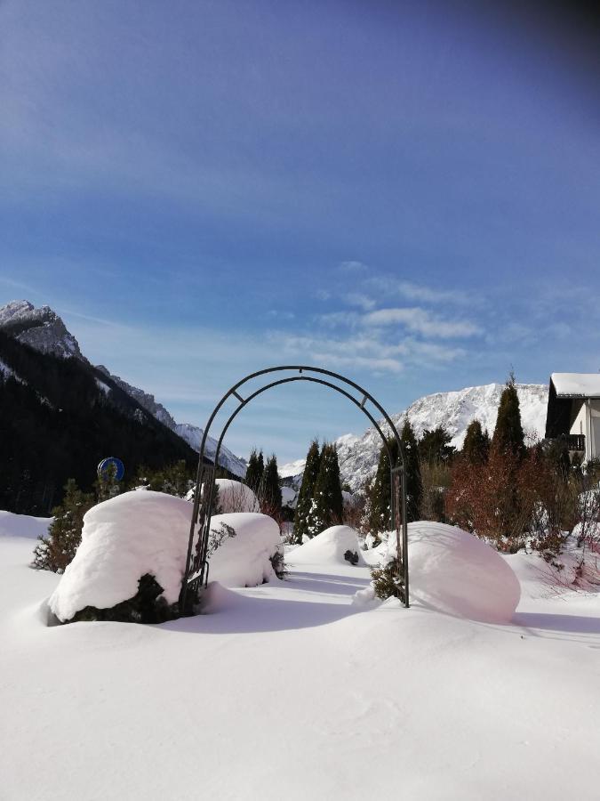 Fruehstueckspension Seeberghof Seewiesen Luaran gambar